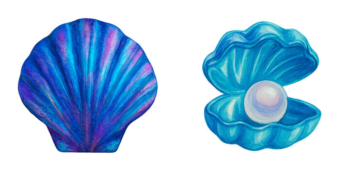 Set of watercolor shells: closed pearlescent shell with purple-blue gradients and open turquoise shell with a pearl inside. Holographic glow and pearlescent texture effect. 
