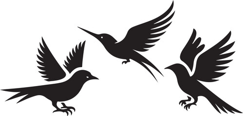 Obraz premium Bird Logo silhouette 