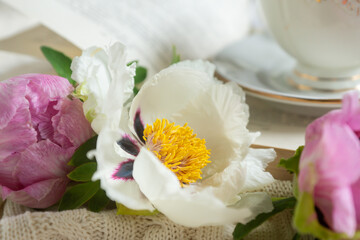 Peony flowers and a cup of tea, books on a white blanket.