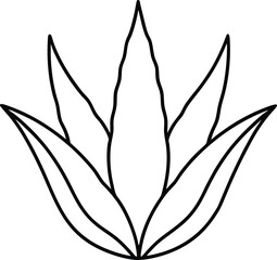 aloe vera icon line art vector illustration on transparent background