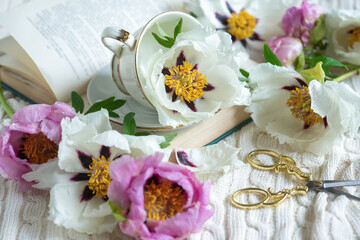 Peony flowers and a cup of tea, books on a white blanket.