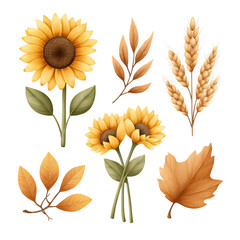 Illustration of sunflowers, wheat stalks, and autumn leaves arranged in a natural, detailed style.