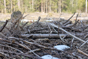 
A large pile of fallen trees and branches, partially covered in snow, with a blurred forest...