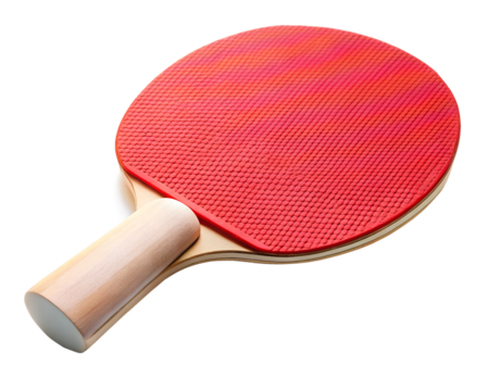 Table Tennis Paddle Gear