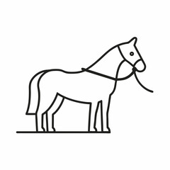 Obraz premium horse stretching in side reins during training or warm-up session