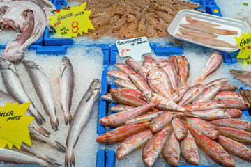 Fish and mantis shrimps for sale at a market in Barcelona, Spain