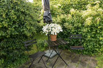 Nykobing Mors, Denmark Two garden chairs in a well-tended garden,