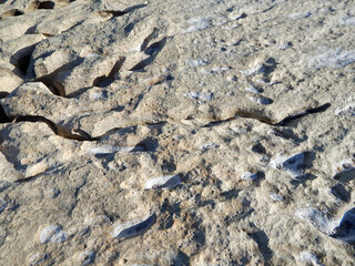 Rocky shore of the Caspian Sea.