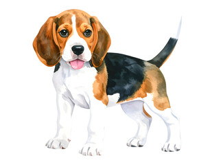 Cute Beagle Puppy Standing &ndash; Transparent PNG, AI Generated

