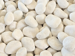 White pebbles scattered on surface create serene and natural aesthetic, perfect for landscaping or decorative purposes. Their smooth texture adds calming touch to any environment