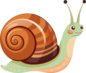snail on a white background