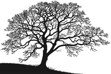 Intricate silhouette of a tree for design projects