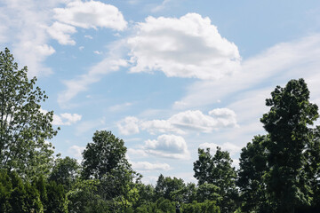 Blue sky with scattered clouds. Green treetops on sunny summer day. Natural forest landscape with soft white clouds. Peaceful weather scene in rural environment. Fresh air and quiet countryside view.