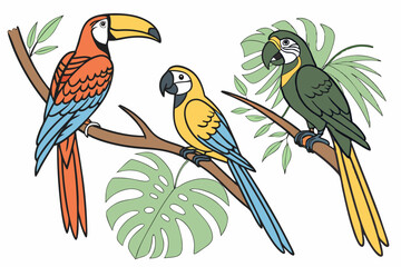 --vector-set-set-of-exotic-birds--toucans--macaws-