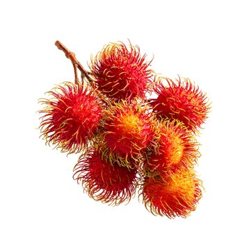 A bounch of rambutant isolated on a white background.