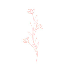 Simple minimalist flower illustration.Simple hand-drawn flower illustration.Beautiful flower decoration illustration
