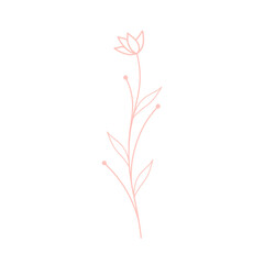 Simple minimalist flower illustration.Simple hand-drawn flower illustration.Beautiful flower decoration illustration
