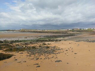Authentic Coastal Scene with Wet Sand, Seaweed and Remote Hamlet under Overcast Skies, Natural Shoreline Capturing the Rugged Beauty of the British Isles