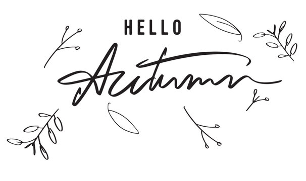 hello autumn season time text font calligraphy hand written lettering script black color object hallo autumn nature september october november month maple leaf plant flora flower design thanksgiving 