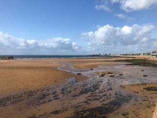 Authentic Coastal Scene with Wet Sand, Seaweed and Remote Hamlet under Overcast Skies, Natural Shoreline Capturing the Rugged Beauty of the British Isles