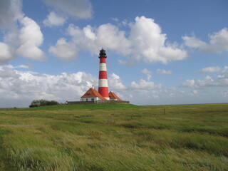 Leuchtturm Westerhever mit Salzwiesen Halbinsel Eiderstedt