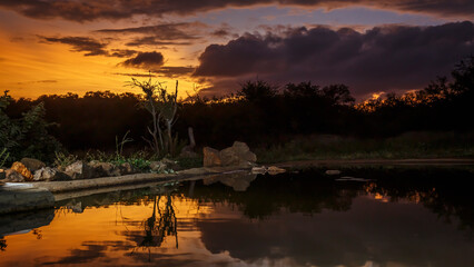 Sunset at waterhole in Kruger National park, South Africa