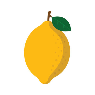 Yellow Lemon Vector Illustration Fresh Citrus Fruit