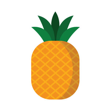 Pineapple Fruit Vector Illustration Tropical and Healthy Food