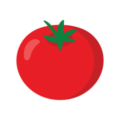 Red Tomato Vector Illustration Fresh Vegetable and Healthy Food
