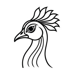 Fototapeta premium peacock head silhouette vector illustration art 