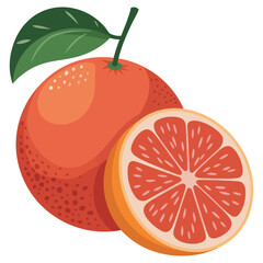 vector illustration of an orange