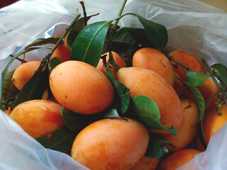 Fresh Ripe Sweet Yellow Marian Plum in Plastic Bag