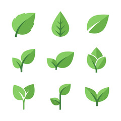 Collection of Stylized Green Leaves and Shoots.