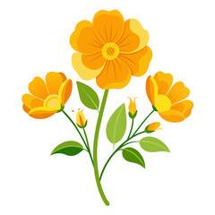 yellow flower isolated on white background