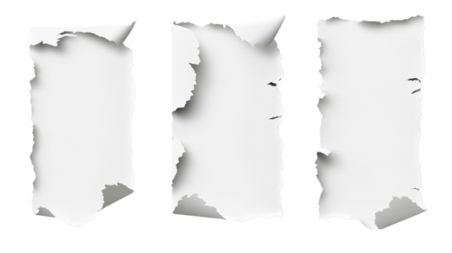 Three torn paper strips with empty space for text rough ripped edges horizontal layout isolated on white background