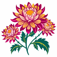 pink dahlia flower