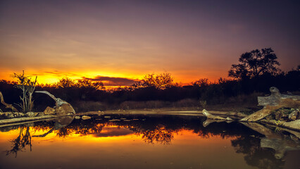 Waterhole scenery at sunset in Greater Kruger National park, South Africa