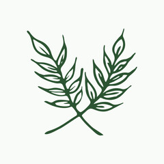 Leaf Hand drawn vector design floral elements