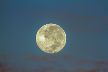 Full moon day time in Greater Kruger National park, South Africa