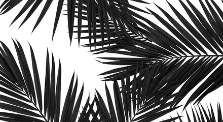 Fototapeta premium Minimalist Dark Palm Leaves on White Background
