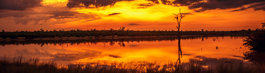 Sunrise from sable dam hide in Greater Kruger National park, South Africa