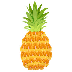 Natural whole pineapple fruit with leaves