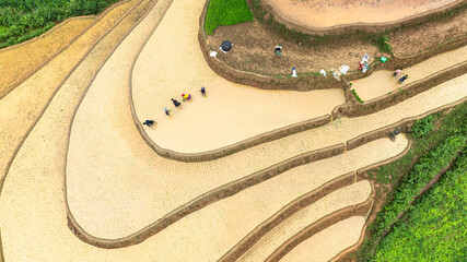 Water season flows into terraced fields and rice planting begins in Mu Cang Chai, Yen Bai. Photo...