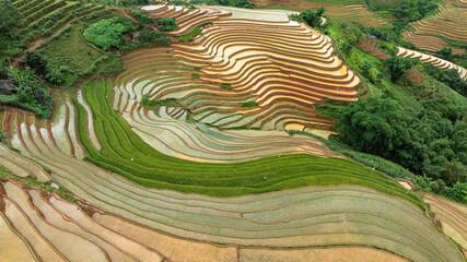 Water season flows into terraced fields and rice planting begins in Mu Cang Chai, Yen Bai. Photo...