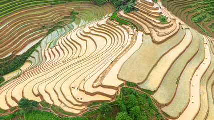Water season flows into terraced fields and rice planting begins in Mu Cang Chai, Yen Bai. Photo...
