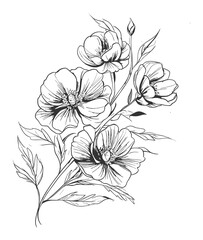 Vintage Botanical Flower Line Art – Elegant Floral Ink Illustration
