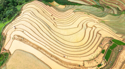 Water season flows into terraced fields and rice planting begins in Mu Cang Chai, Yen Bai. Photo...