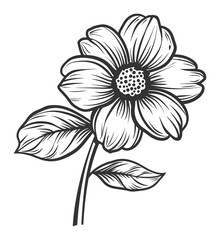 Single Bloom Flower Line Art – Hand-Drawn Botanical Illustration
