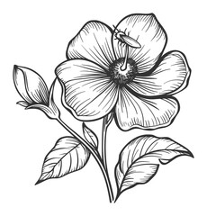 Single Bloom Flower Line Art – Hand-Drawn Botanical Illustration
