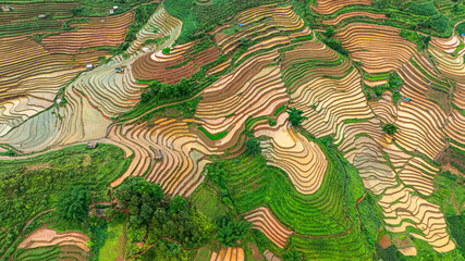 Water season flows into terraced fields and rice planting begins in Mu Cang Chai, Yen Bai. Photo...